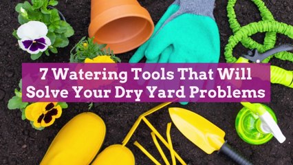 7 Watering Tools That Will Solve Your Dry Yard Problems
