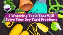 7 Watering Tools That Will Solve Your Dry Yard Problems