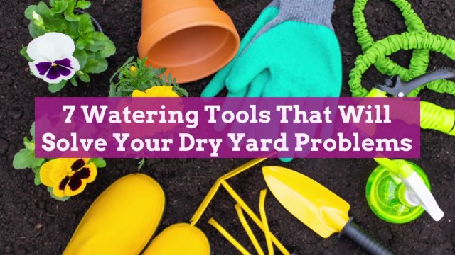 7 Watering Tools That Will Solve Your Dry Yard Problems