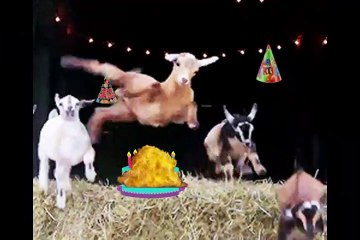 Happy Birthday Brent - Brent's Birthday Song - Brent's Birthday Party