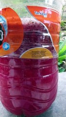 Herb Fermented as probiotic