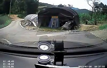 Apprendre à sa femme à conduire... pas simple