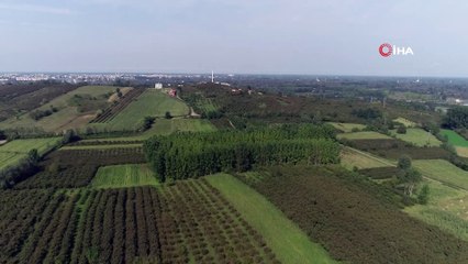 Samsun Tarımsal Üretimde Zirveyi Zorluyor