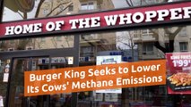 Burger King Methane