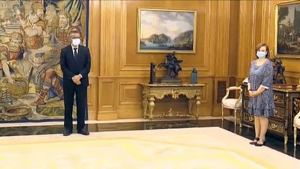 Audiencia del Rey al director general de la OMS