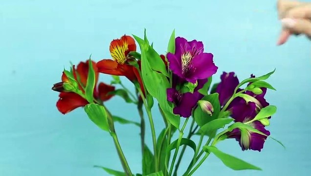 15 Ideas Fáciles De Decoración / Proyectos DIY Útiles