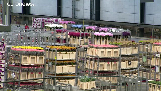 La clef néerlandaise pour parvenir à un compromis sur la relance économique