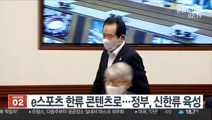 e스포츠 한류 콘텐츠로…정부, 신한류 육성