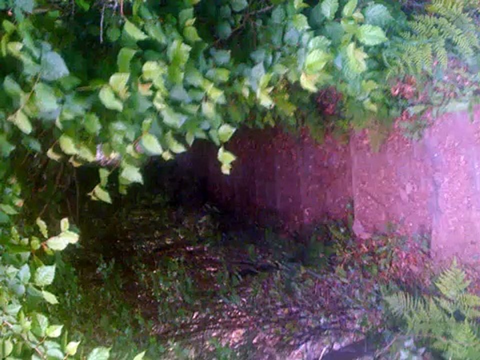 Latin = EGO Agent provocateur (DHR Factor) .MP3 (my-pics) Daytime