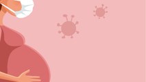 Can Pregnancy Spread The Coronavirus To Fetuses?