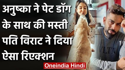 Virat Kohli's Wife Anushka Sharma shares Lovely pictures with Pet Dog on Instagram | वनइंडिया हिंदी