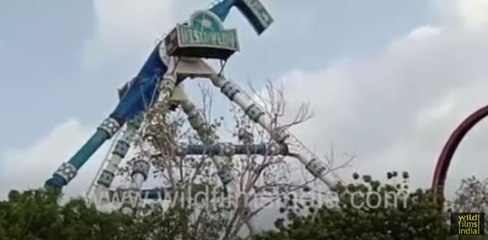 Pendulum ride breaks down mid-air at an amusement park in Ahmedabad
