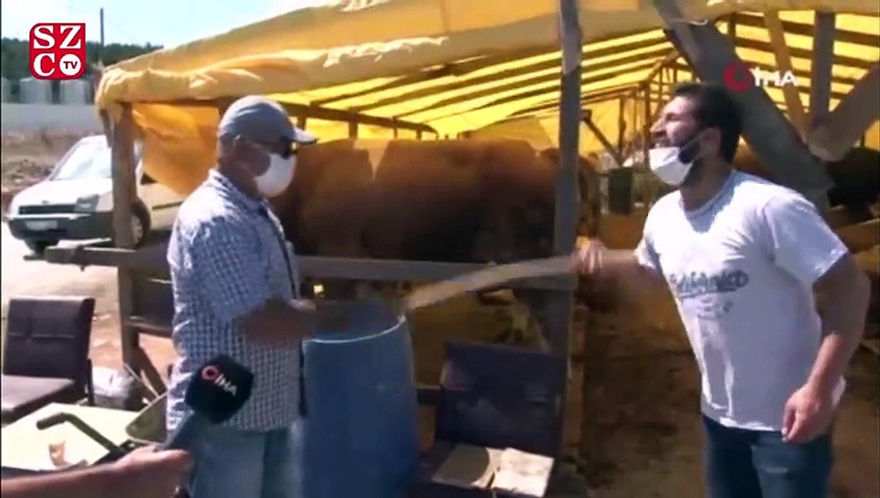 Hayvan pazarlarında sosyal mesafeli pazarlıklar başladı