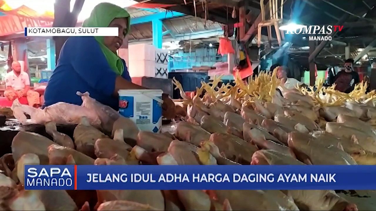 Download Video: Harga Daging Ayam Naik Jelang Idul Adha