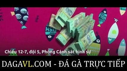 DAGAVL.COM - Triệt phá tụ điểm đá gà tiền tỉ tại TP.HCM