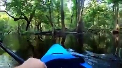 El terrorífico instante cuando un cocodrilo embiste un kayak para hundir al navegante