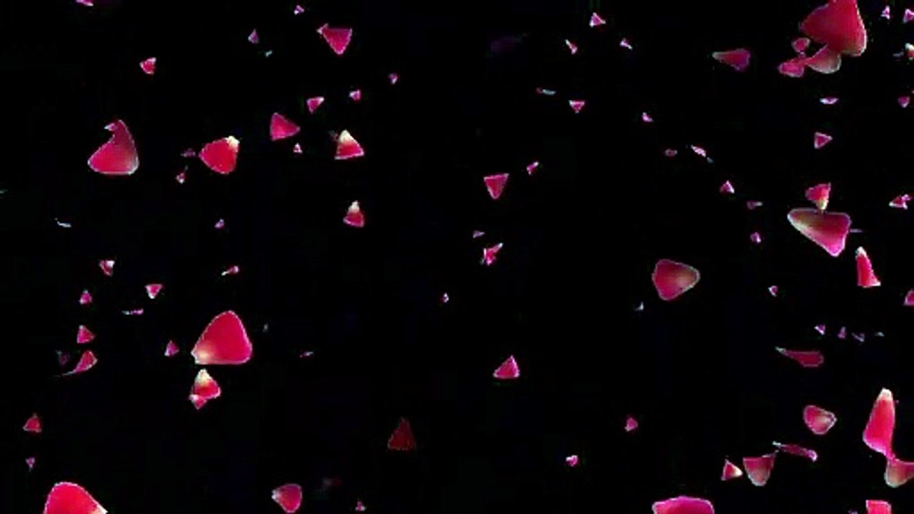 Rose pattle, rose pattle with music,