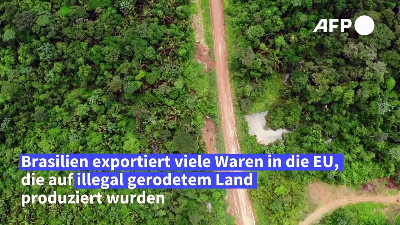 Brasiliens Exporte in die EU sind oft umweltschädlich