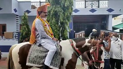 घोड़े पर सवार होकर सांसद लालवानी निकले जलसंसाधन मंत्री के लिए वोट मांगने, देखिए वीडियो