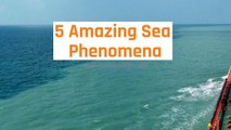 Sea Phenomenon_ 5 Amazing Ocean Phenomenon