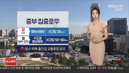 [날씨] 차츰 전국 장맛비…중부지방 '집중호우'