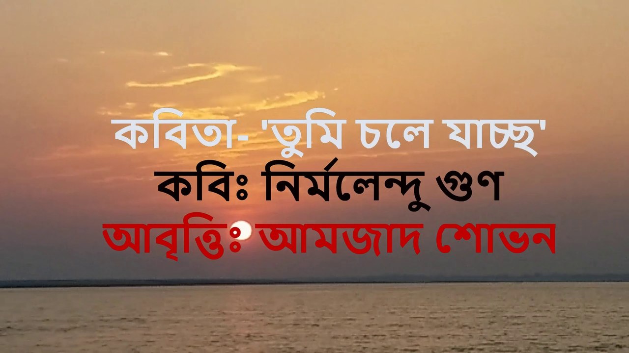 Tumi Chole Jaccho - Nirmalendu gun || তুমি চলে যাচ্ছ - নির্মলেন্দু গুণ || Recited by Amzad Shovon