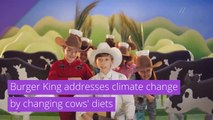 Burger King addresses climate change by changing cows' diets, and other top stories from July 17, 2020.