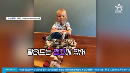 캡틴 아메리카의 ‘특별한 선물’