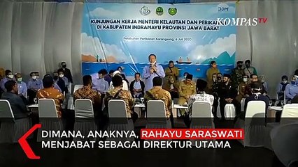 Klarifikasi Hashim Soal Ekspor Lobster PT Bima Sakti Mutiara