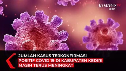 Kasus Positif Corona Di Kabupaten Kediri Capai 300 Orang