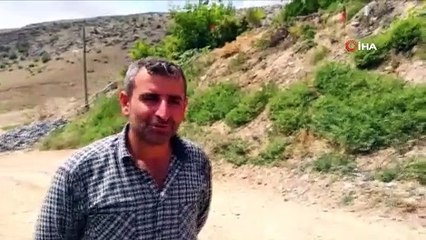 Yuvasından düşen yavru leyleğin imdadına itfaiye yetişti