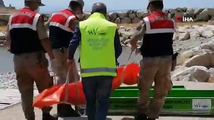 Van Gölü’nden biri çocuk 2 ceset daha çıkarıldı