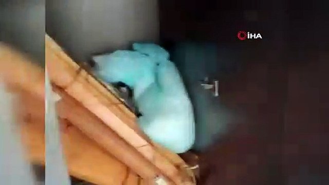 POLİS KAMERASINDAN SAHTE İÇKİ BASKINI