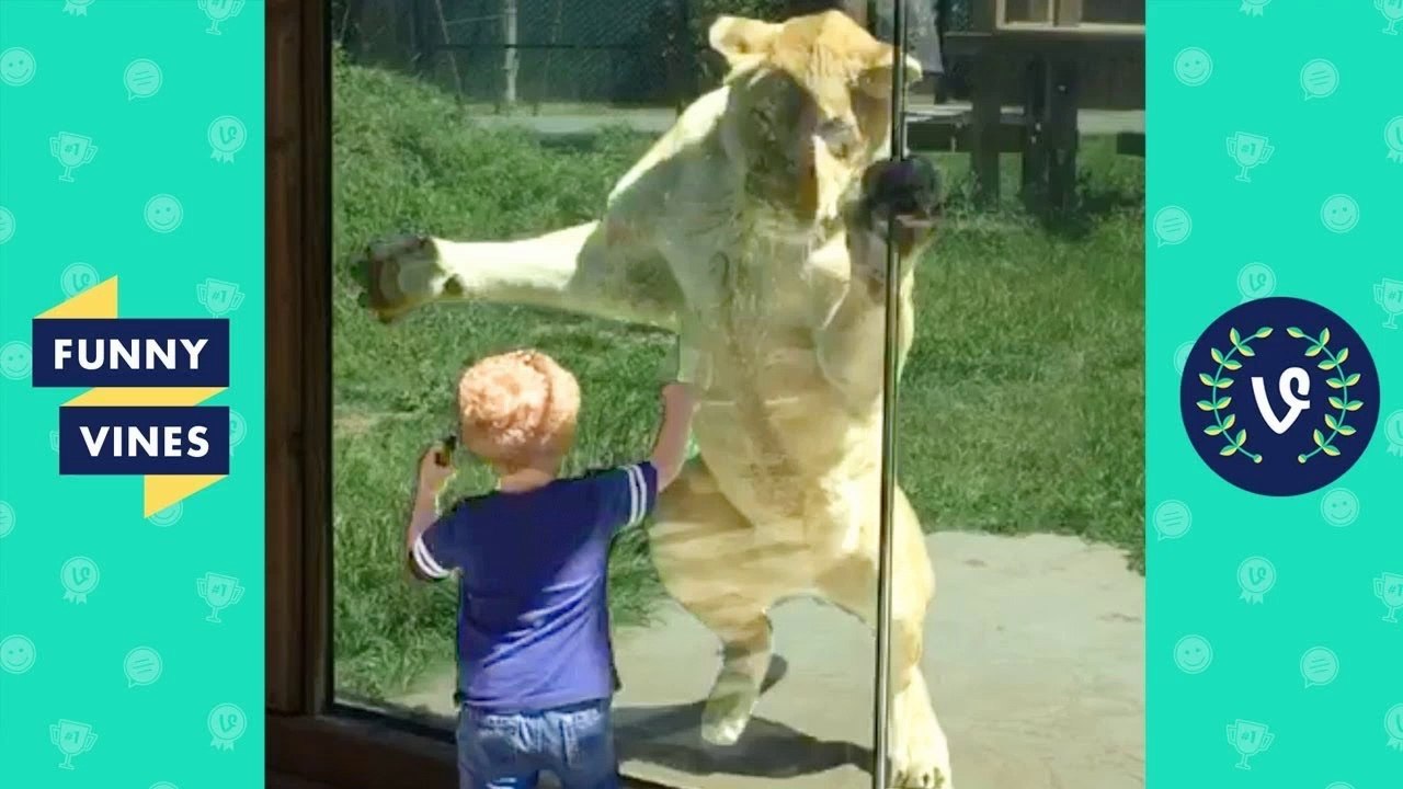 TRY NOT TO LAUGH -  Cute Kids VS. Animals Fails...