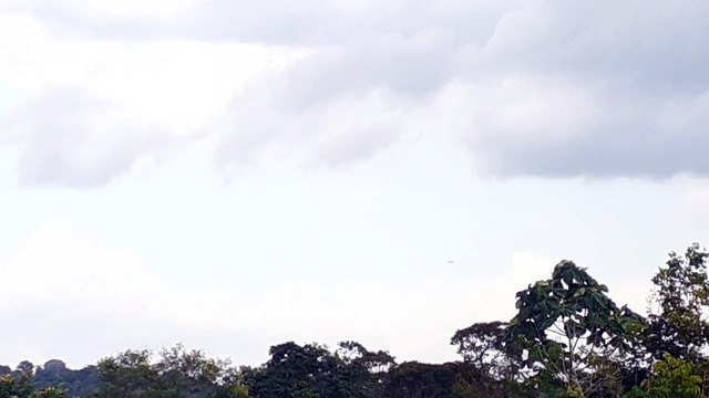 [SBEG Spotting]Boeing 767-300ER PR-ABB na final antes de pousar em Manaus vindo do Guarulhos(16/07/2020)