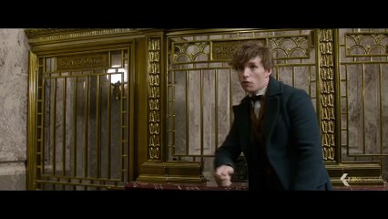 FANTASTIC BEASTS AND WHERE TO FIND THEM Trailer 2 (2016)