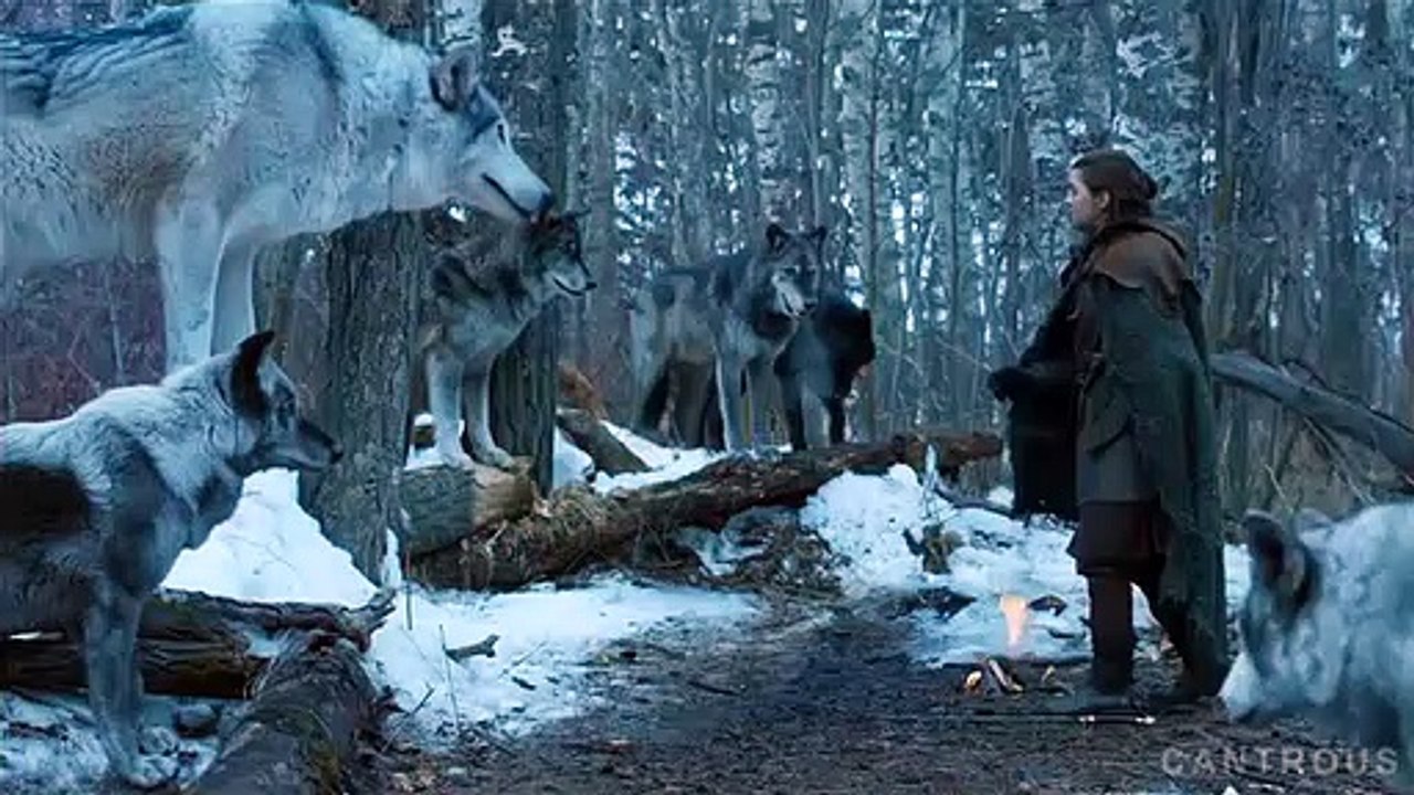 Arya Stark // See What I've Become | Kayam Baba