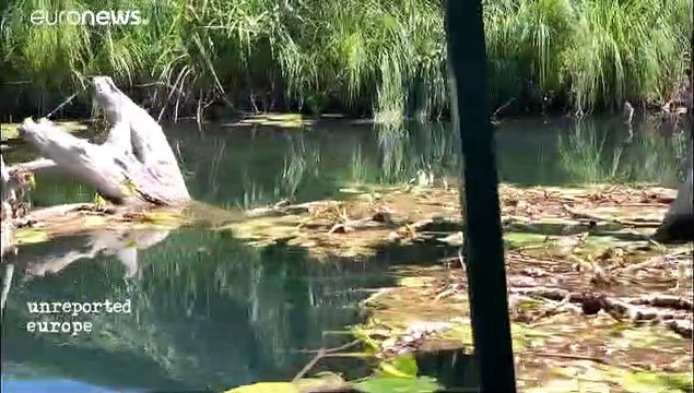 Hydro power to the people: the fight against Bosnia and Herzegovina's hydroelectric dams