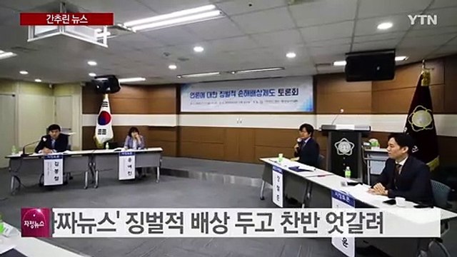 가짜뉴스 징벌적 배상 공적 책임 강조 vs 언론 자유 침해 / YTN