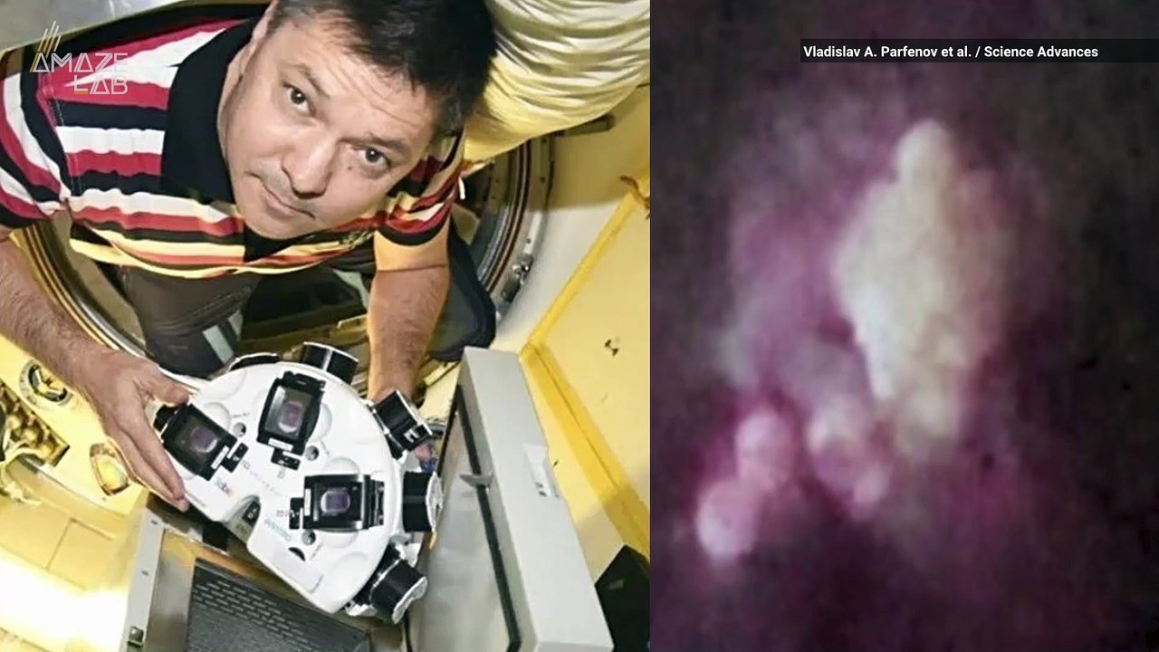 Astronaut Engineers Human Cartilage in Space For First Time