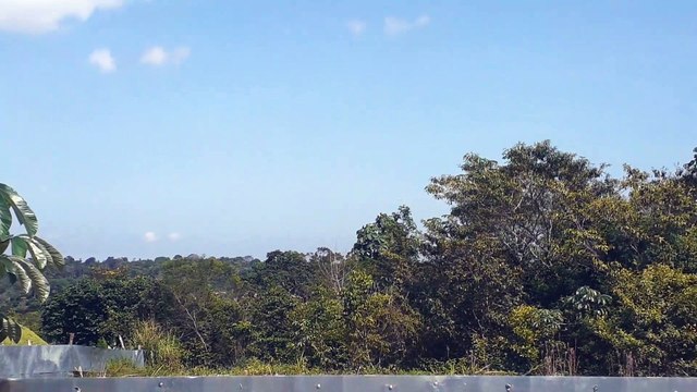 [SBEG Spotting]Airbus A330 PR-AIU na final antes de pousar em Manaus vindo de Campinas(17/07/2020)