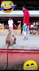 Some funny movements cought in camera