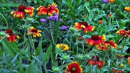 Oração de Nossa Senhora do Rosario de Fátima