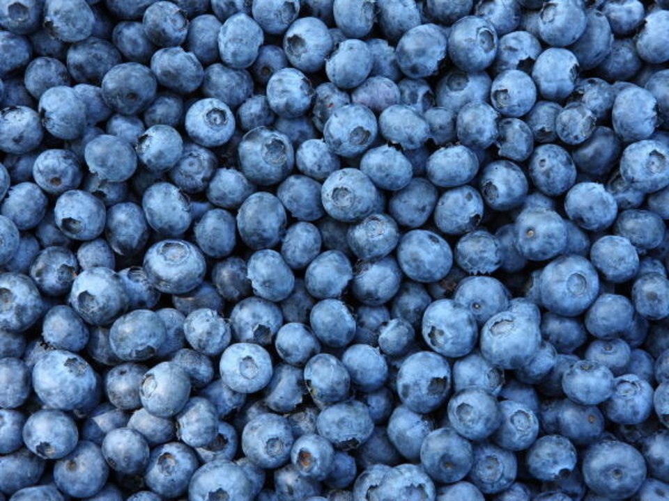 How to Store Blueberries So They Last Longer