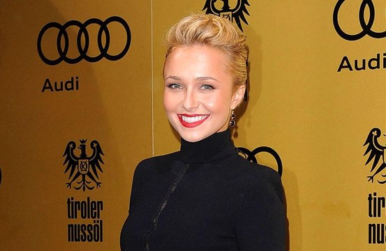 Hayden Panettiere's ex-boyfriend Brian Hickerson charged with felony assault