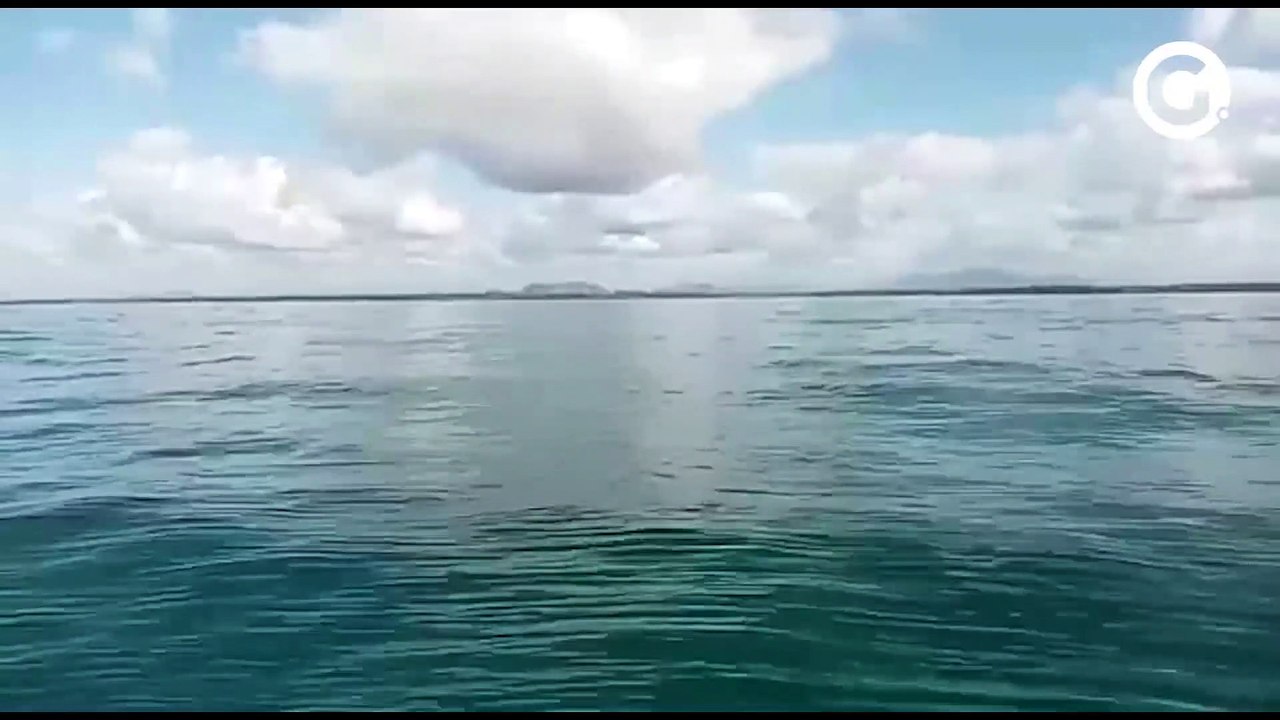 Baleia é vista em Aracruz