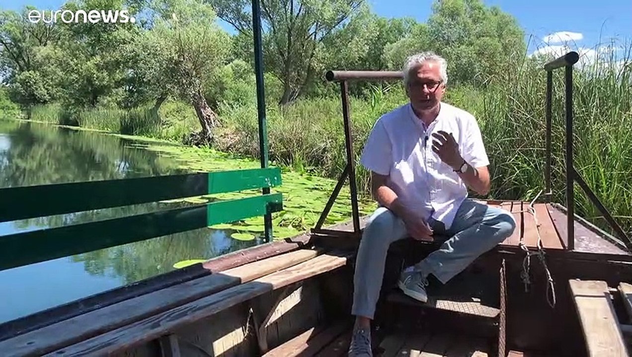 Bosnien-Herzegowina: Umweltschützer gegen Wasserkraftwerke