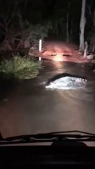 En france on a des lapins, en australie ils ont des crocodiles au milieu de la route