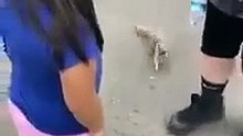 Esquilo segue humano e implora por água. É um copinho de água se faz favor...