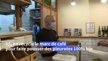 Des champignons cultivés sur du marc de café, une autre façon de voir l'avenir